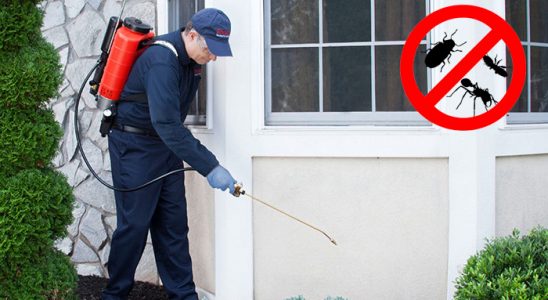 Korkuteli Hamam Böceği İlaçlama böcek ilaçlama ve haşere kontrolü — ilaclama-tr.com